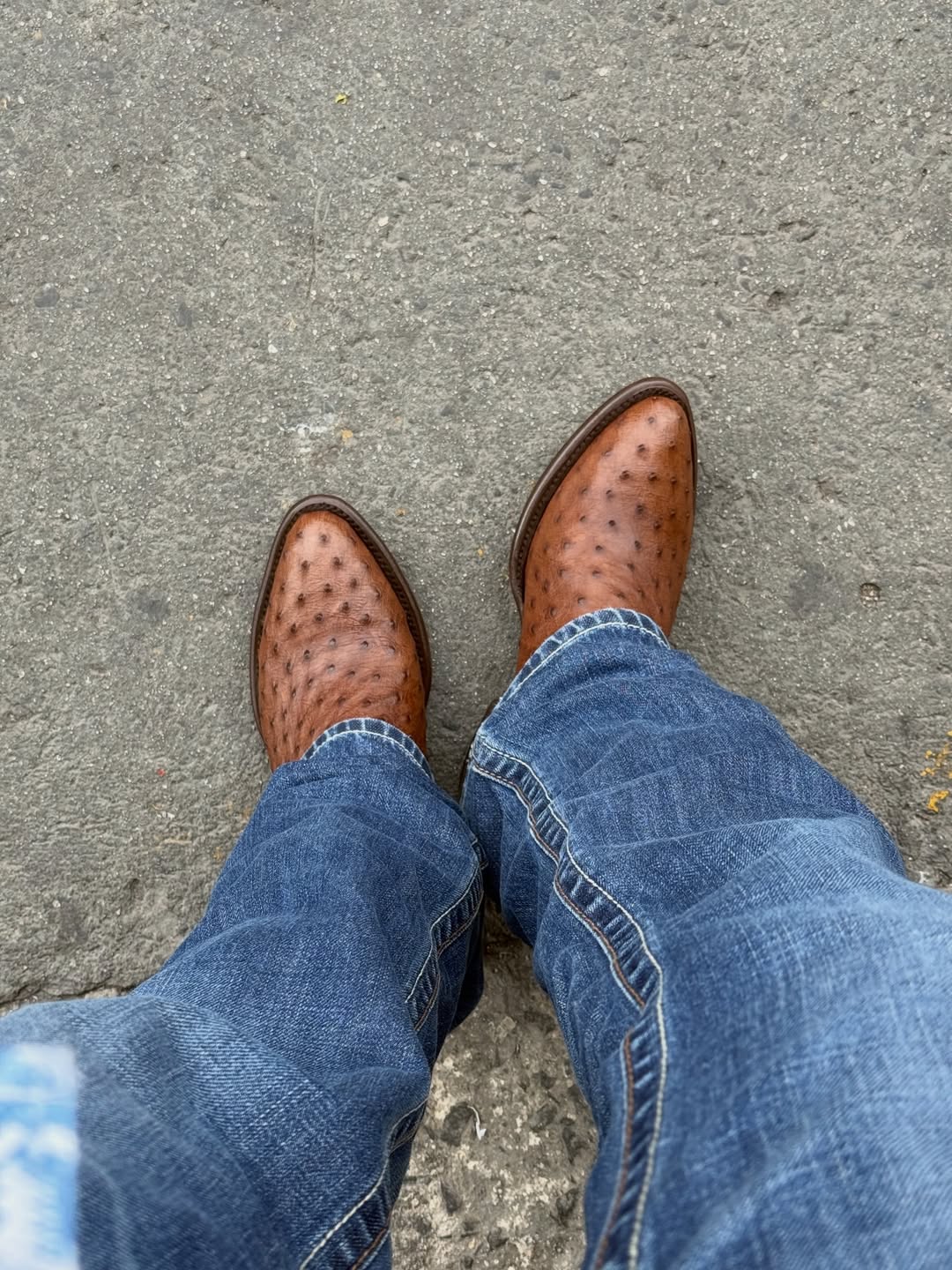 Men's Classic Brown Western Boots